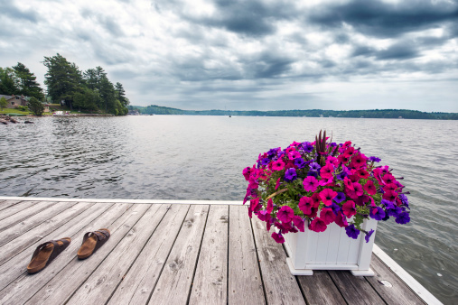 A cottage scene of a dock on the lake with a planter of petunias and a pair of Sandals.  There is a boat in the distance.