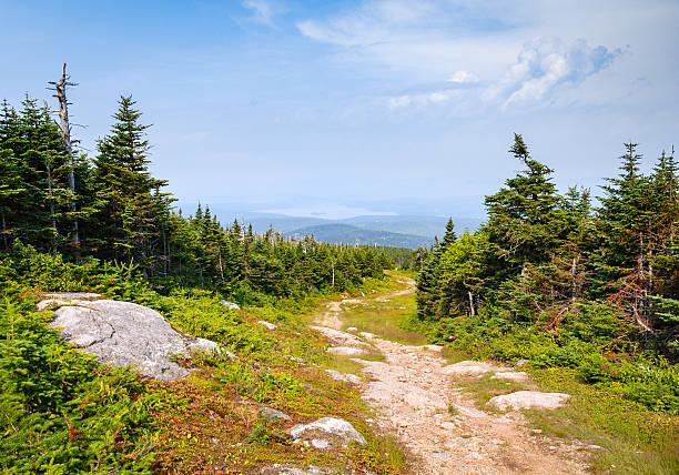 monte saddleback - saddleback mountain - fotografias e filmes do acervo