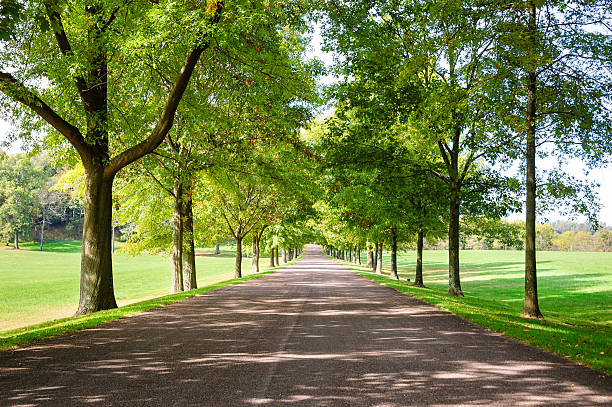 istock Friendship Hill National Historic Site 490389892