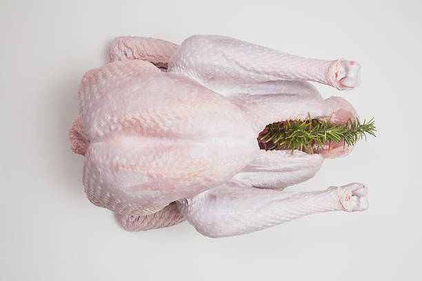 istock Raw turkey, Thanksgiving, Christmas dinner, preparation 490394700