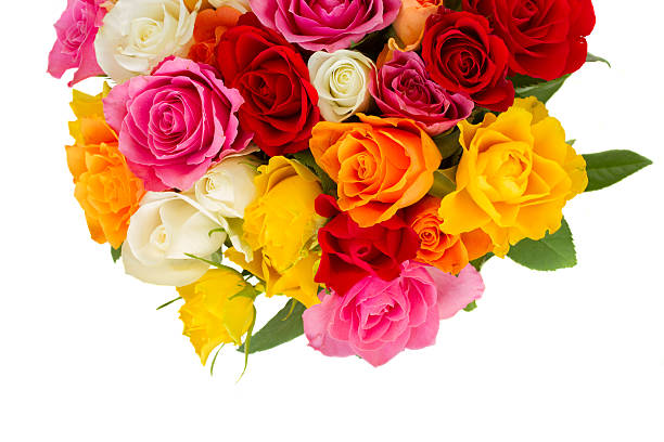 istock bouquet of fresh roses 490394792