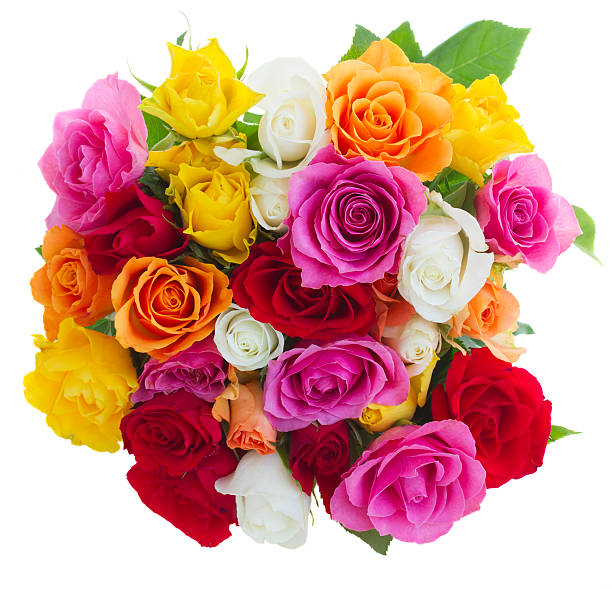 istock bouquet of fresh roses 490394894
