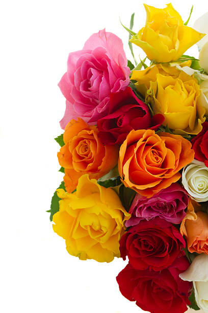 istock bouquet of fresh roses 490394930