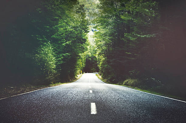 Summer Country Road With Trees Beside Concept