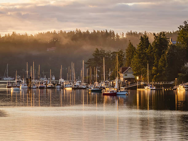 harbor con niebla de la mañana en el noroeste del pacífico - yacht sea sunrise sailing fotografías e imágenes de stock