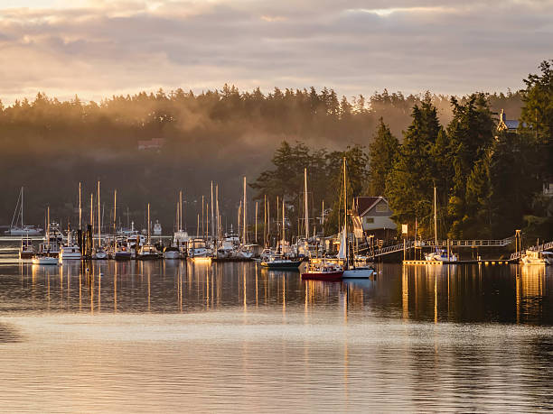 Harbor with morning fog in the Pacific Northwest stock photo