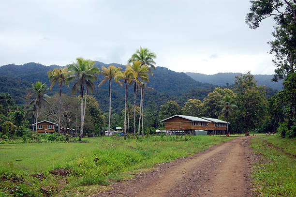 istock Village in Papua New Guinea 490398302