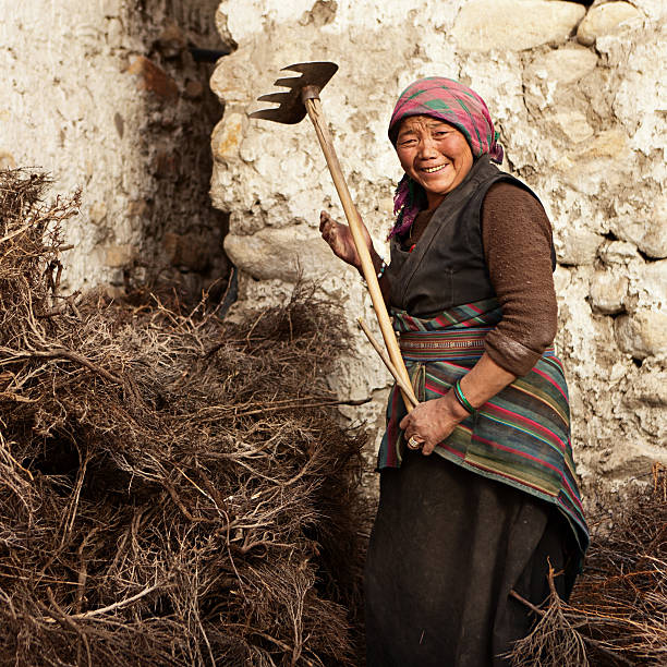 istock Tibetan woman at work in Upper Mustang, Nepal 490398732