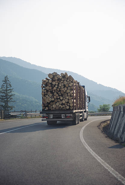 istock Logging truck driving on the road 490399136