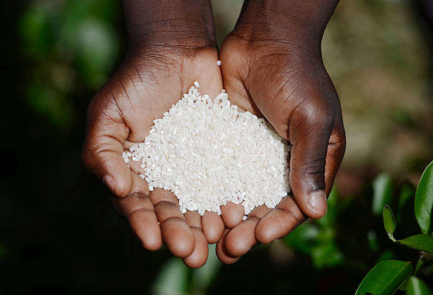 símbolo de la desnutrición africano negro girl holding white arroz hambre - malnourished fotografías e imágenes de stock