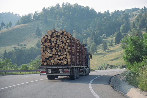 Truck transporting tree trunks driving on a road between hills