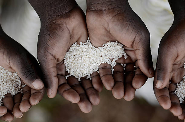 istock African Children Malnutrition, Starvation, Stunted Problem Symbol Hands Cupped 490399410