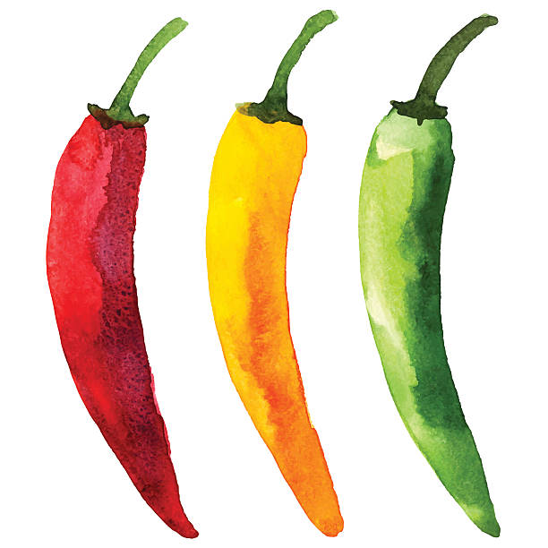 illustrazioni stock, clip art, cartoni animati e icone di tendenza di acquerello peperoni colorati - pepper vegetable red green