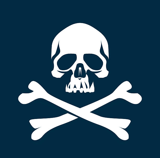 Human Bone  Illustration and Painting pirate flag stock illustrations