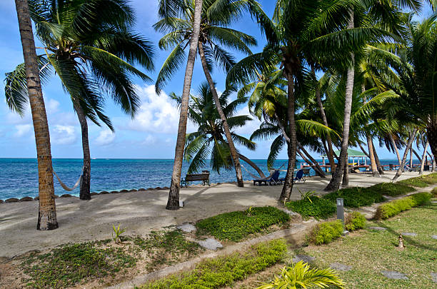 istock Beautiful Beach on Praslin，Seychelles 490400244