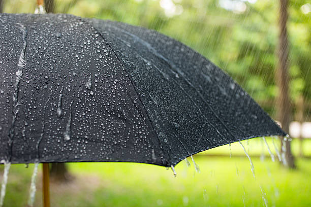 istock Rainy day. Raindrops falling on black umbrella outdoors. Spring, summer. 490402172