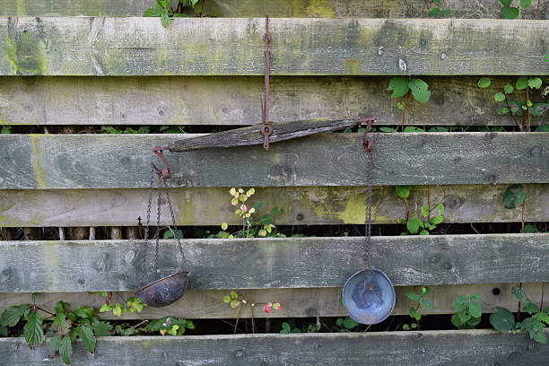 garden scales against a fence