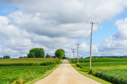 Rural road in farmland of northern Indiana, USA, in summer