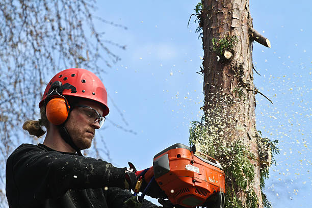 istock Woodcutter in action in denmark 490426660