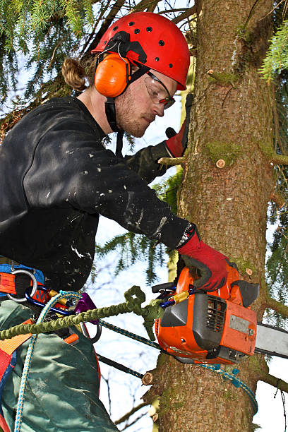 istock Woodcutter closeup in action in denmark 490427114