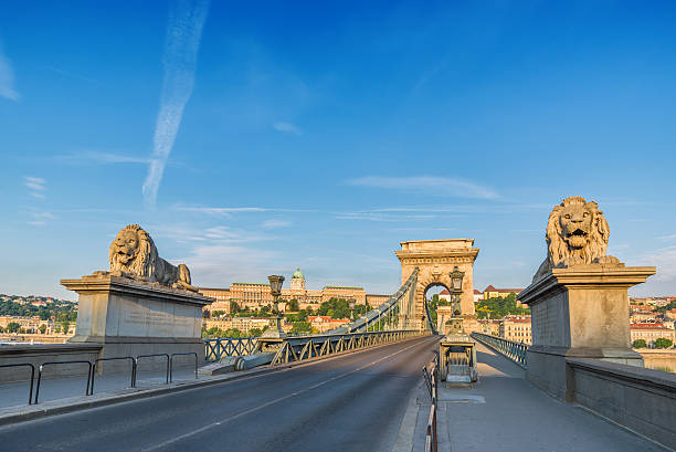 cadeia szchenyi ponte de budapeste, hungria - chain bridge budapest bridge lion imagens e fotografias de stock