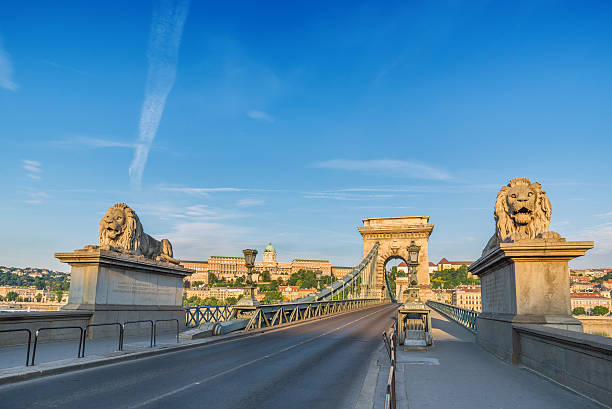 szchenyi цепной мост-будапешт-венгрия - chain bridge budapest bridge lion стоковые фото и изображения