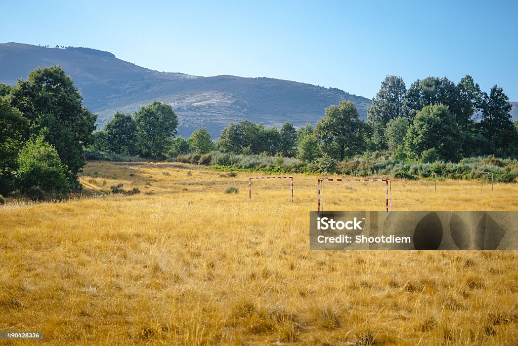 Desolate soccer field in the forest 2015 Stock Photo
