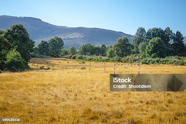 Desolate Soccer Field In The Forest Stock Photo - Download Image Now - 2015, Abandoned, Africa