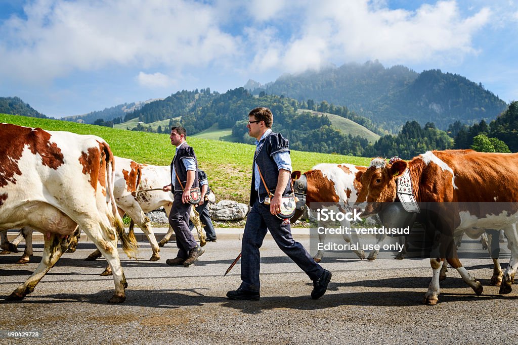 transhumance Veranstaltung in Charmey - Lizenzfrei 2015 Stock-Foto