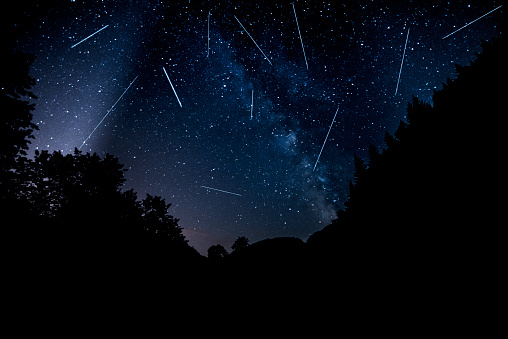 night view in the forest with perseids on sky and the milky way.