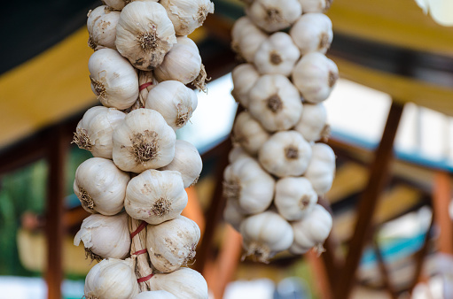 Garlic braid hanging for sale at farmers harvest days market.