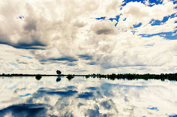  Landscape view of big white fluffy clouds reflecting on a lake with trees scattered in the background. Clouds reflecting on a body of water. Clouds reflecting on a lake. Lake reflecting the cloudy sky above with trees. The sun is underneath the clouds.