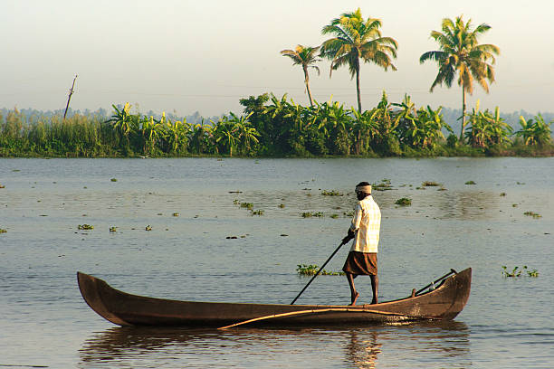 Kottayam (Kerala), India - November 25, 2009: A fisherman standing and poling in his traditional canoe in a lagoon in the Southern Kerala backwaters at daybreak.