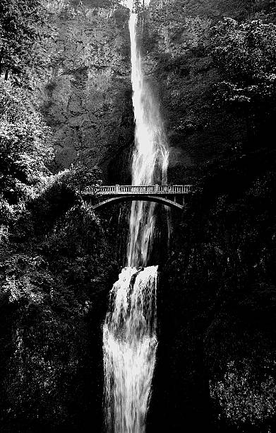 istock Mulholland Falls, Oregon 490437838
