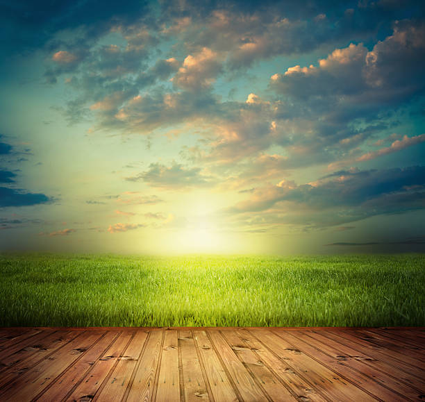 Spring field and wood floor Spring field and wood floor country road sky field cloudscape stock pictures, royalty-free photos & images