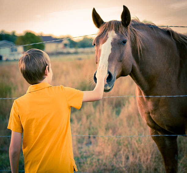 istock Boy Petting Horse 490439934