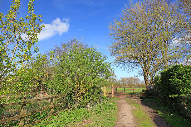 istock English countryside 490451263