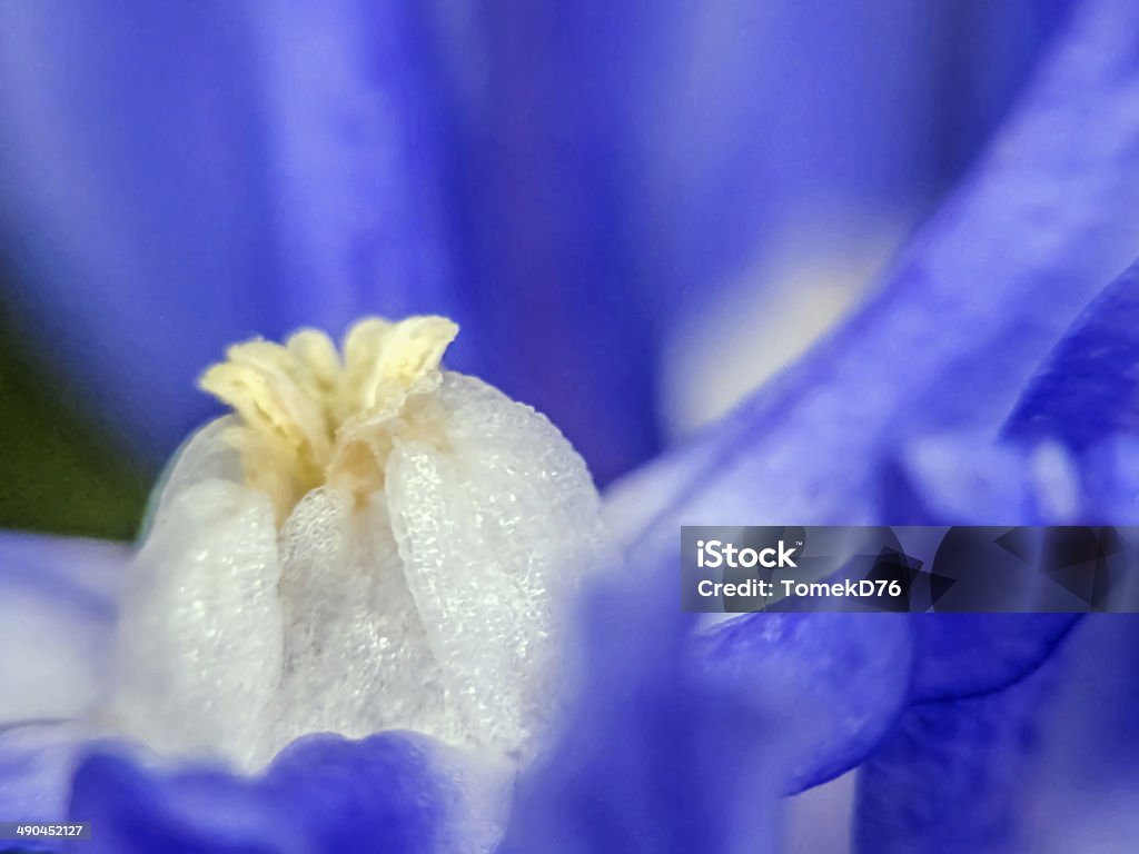 azul - Foto de stock de Alergia royalty-free