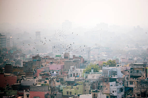 delhi, die stadt - luftverschmutzung stock-fotos und bilder