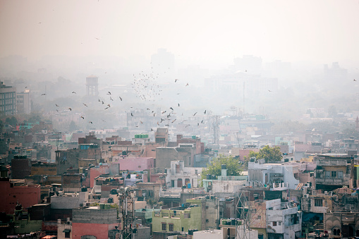 Delhi, paisaje de la ciudad photo