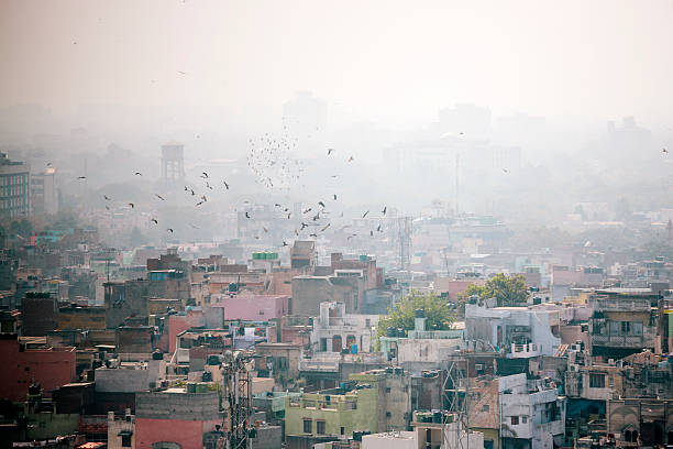 delhi, paisaje de la ciudad - delhi fotografías e imágenes de stock