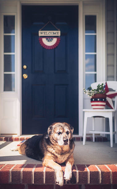 istock Patriotic Welcome Home with Dog Waiting Patiently 490454157