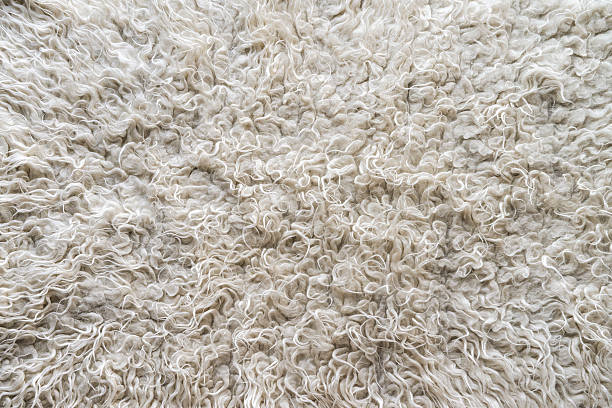 istock Fluffy wool rug with long hair in beige, texture 490454625