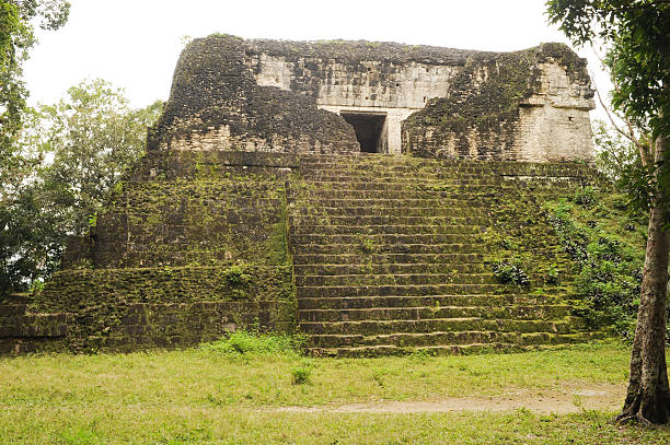 istock The Mayan ruins of Tikal 490455003