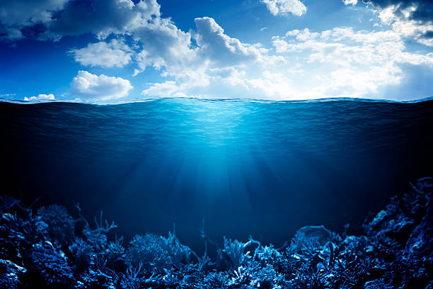 istock Sky, waterline and underwater background 490455075