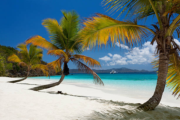 istock Salomon Bay Beach, St. John, US Virgin Islands 490457457