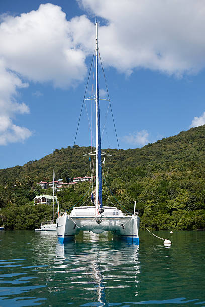 jacht - st lucia bay caribbean marigot bay stock-fotos und bilder