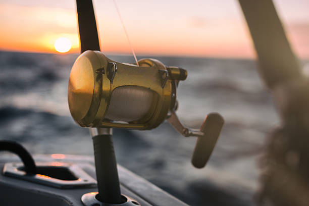 istock Deep Sea Fishing Rod 490458113