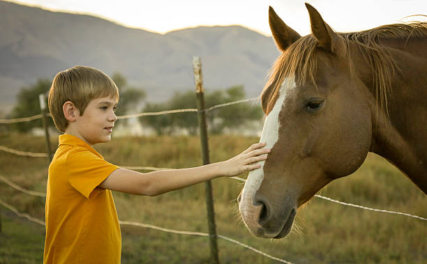 istock Boy Petting Horse 490472828