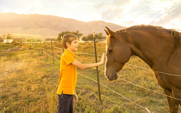 istock Boy Petting Horse 490472860